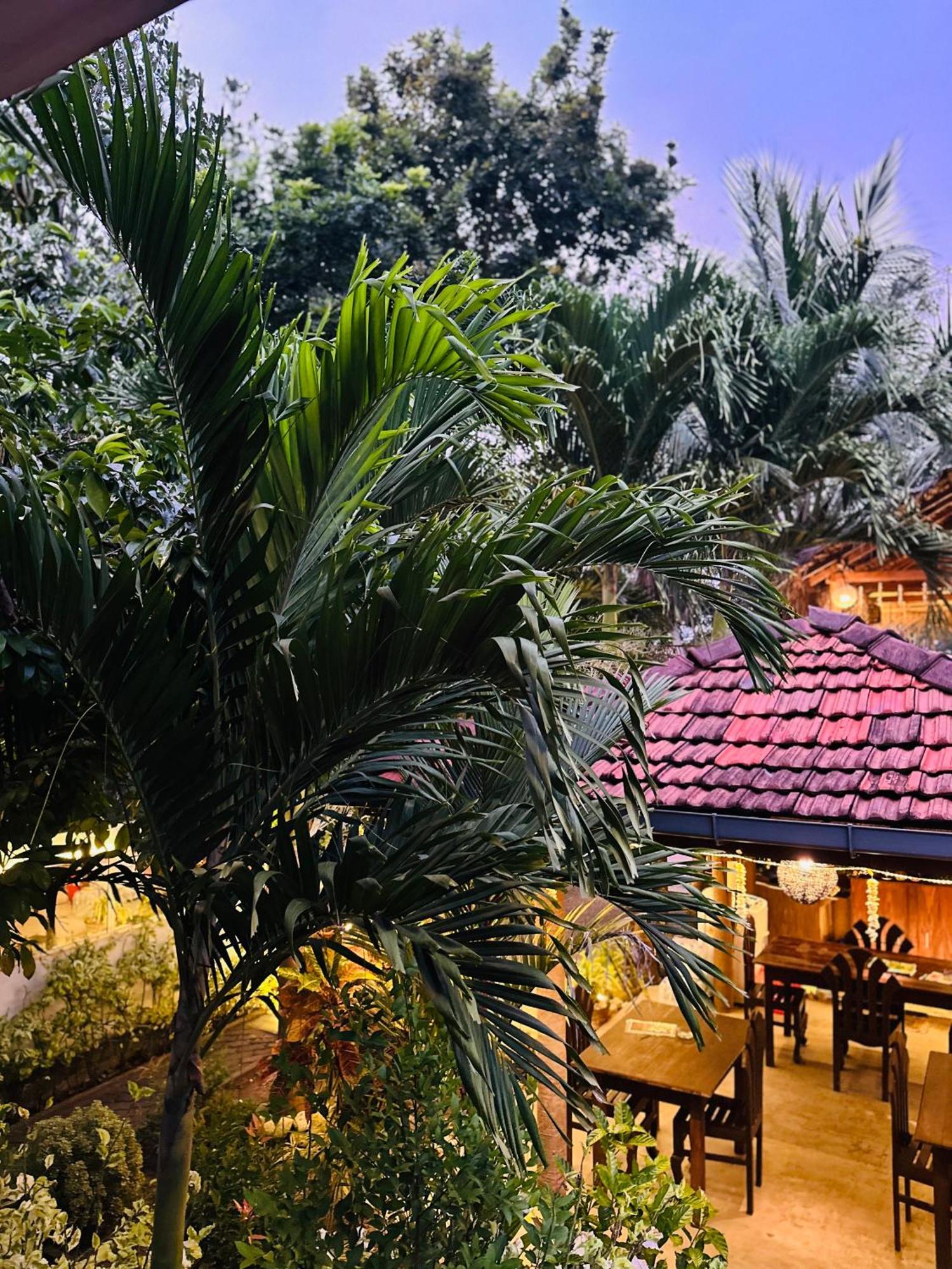 Rekawa Turtle Gate Hotel تانجالي المظهر الخارجي الصورة